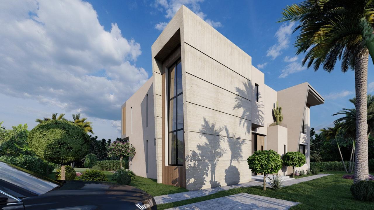 Projet PALM & MOUNTAIN VIEW
