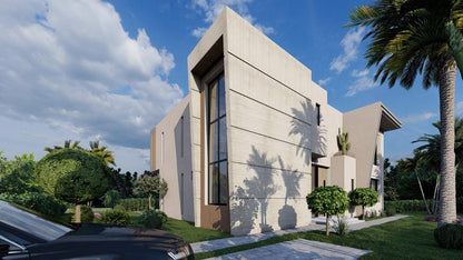 Projet PALM & MOUNTAIN VIEW
