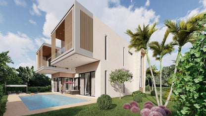 Projet PALM & MOUNTAIN VIEW
