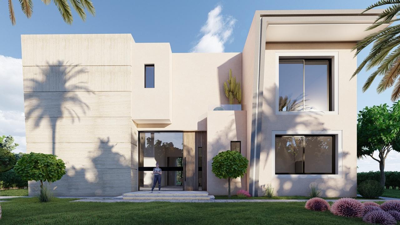 Projet PALM & MOUNTAIN VIEW