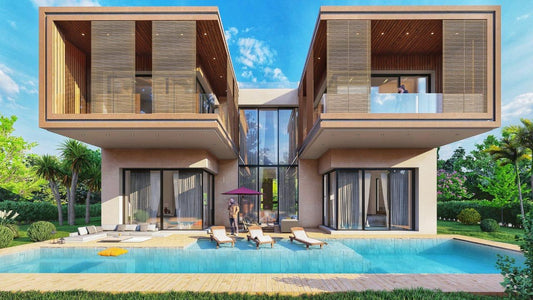 Projet PALM & MOUNTAIN VIEW
