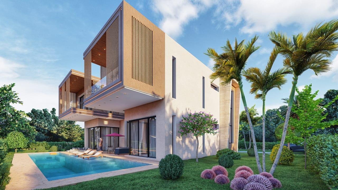 Projet PALM & MOUNTAIN VIEW