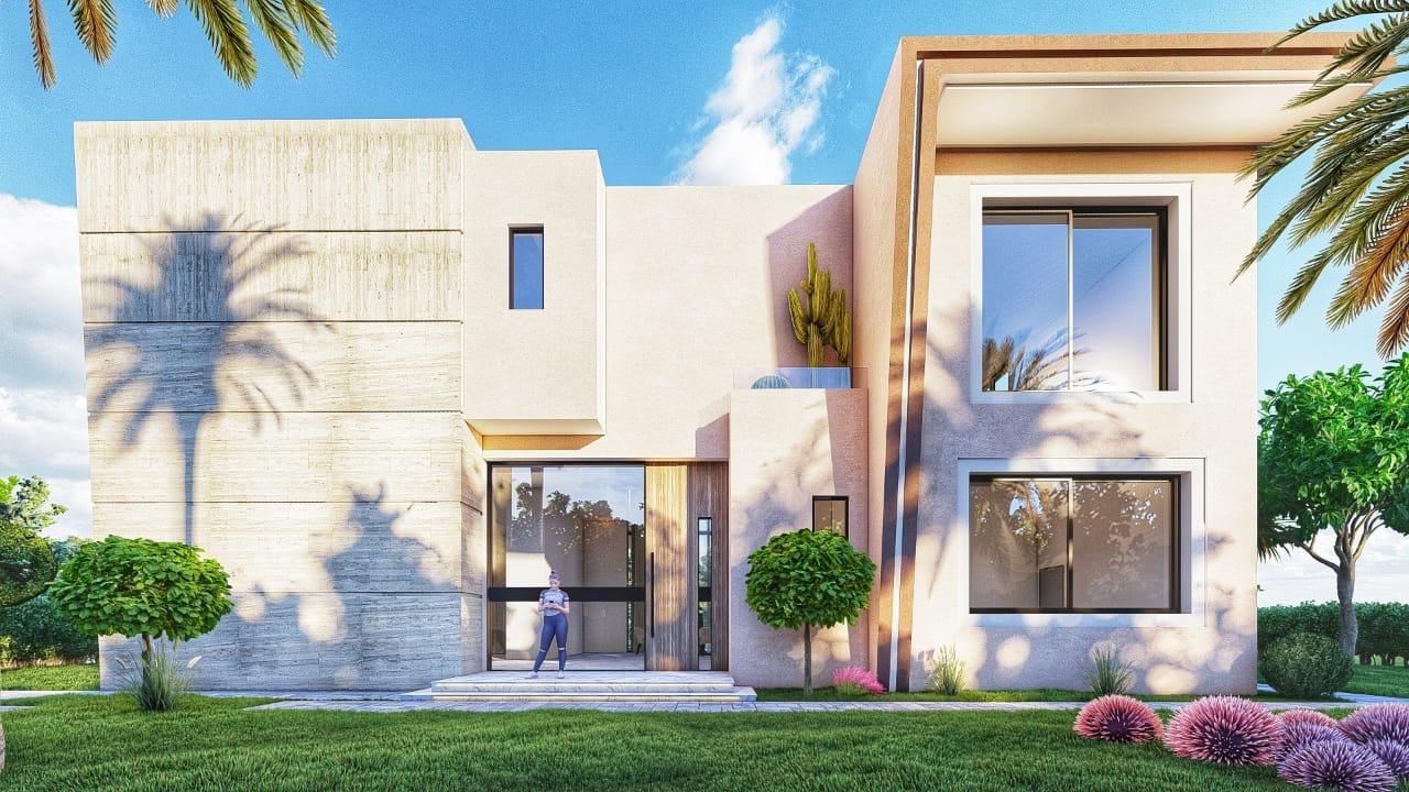 Projet PALM & MOUNTAIN VIEW