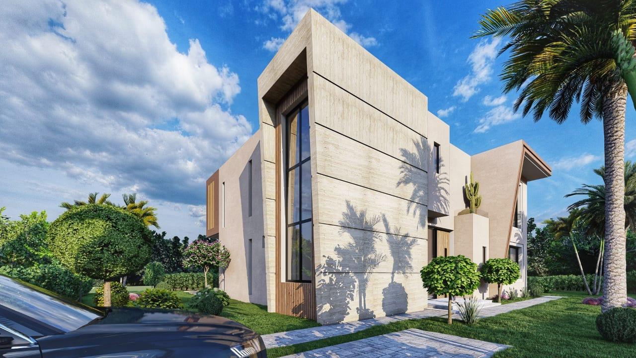 Projet PALM & MOUNTAIN VIEW