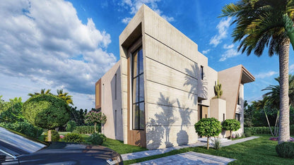 Projet PALM & MOUNTAIN VIEW