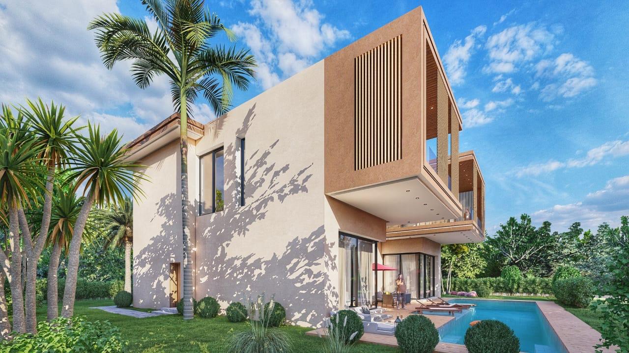 Projet PALM & MOUNTAIN VIEW