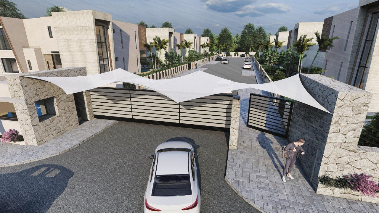 Projet PALM & MOUNTAIN VIEW