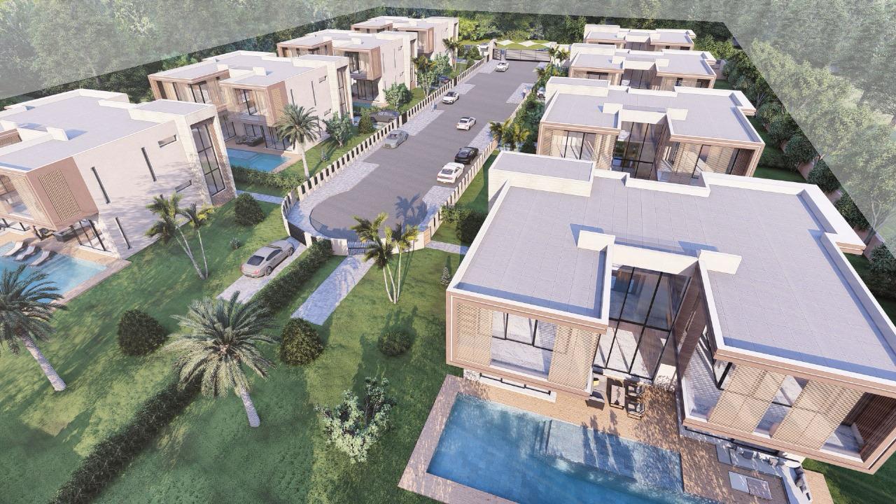 Projet PALM & MOUNTAIN VIEW