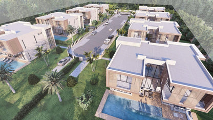 Projet PALM & MOUNTAIN VIEW