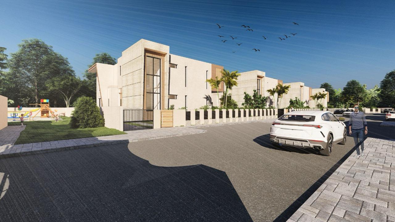 Projet PALM & MOUNTAIN VIEW