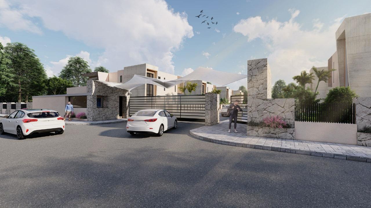 Projet PALM & MOUNTAIN VIEW