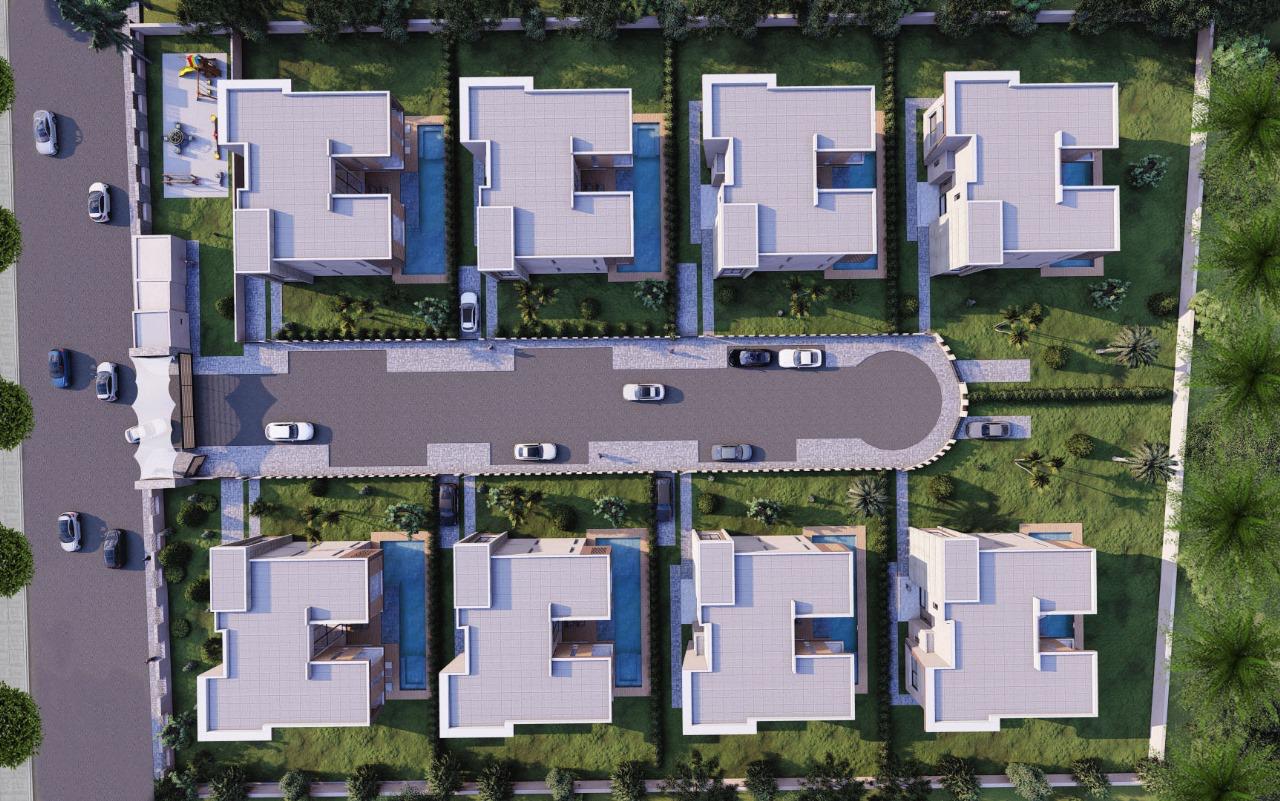 Projet PALM & MOUNTAIN VIEW