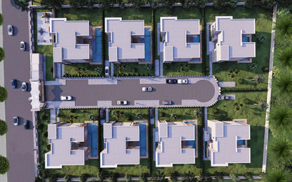 Projet PALM & MOUNTAIN VIEW