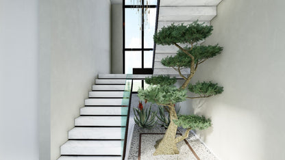 Projet PALM & MOUNTAIN VIEW